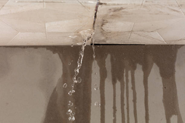 Professional Flood Damage Cleanup technician working in Sunland, CA